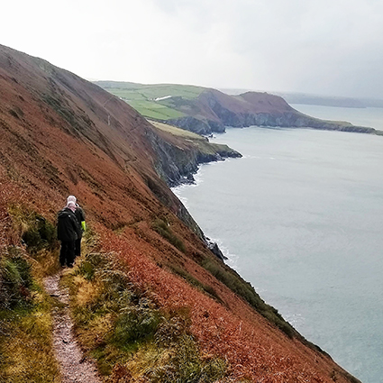 Coast path, towards Llangrannog and back